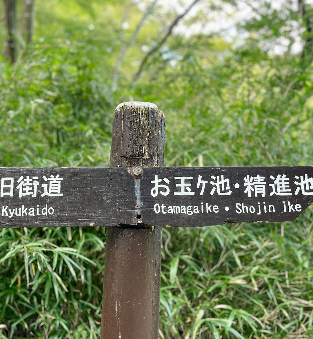 お玉が池と古道を踏みしめるツアー（箱根とシカについて考えるスタディツアー）